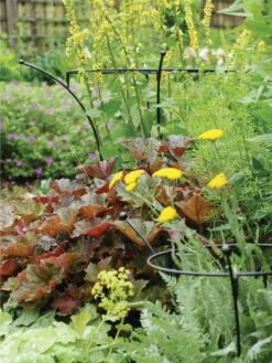 Essex Plant Supports -Outdoor Garden Care Shop 37423 280 tif