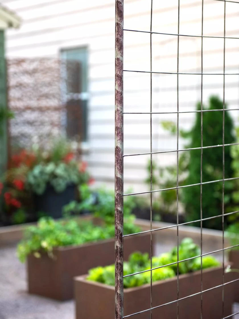 Jardin Rose Arch 6 Jardin Rose Arch - Image 4