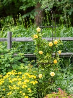 Jardin Round Obelisk, 7' 9 Jardin Round Obelisk, 7' -Outdoor Garden Care Shop 39 530 1668 tif