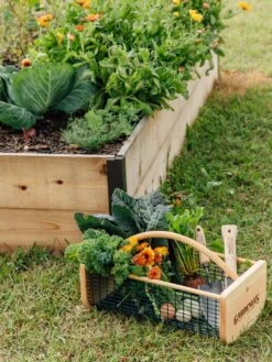 Garden Hods -Outdoor Garden Care Shop 39 761 572 tif