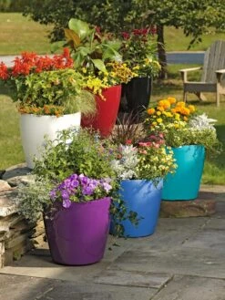 Outdoor Garden Care Shop -Outdoor Garden Care Shop 39326 042 tif