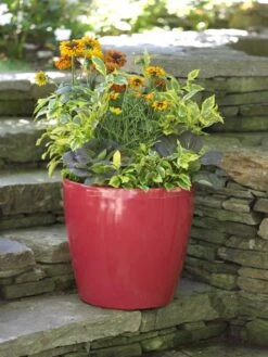 Viva Round Self-Watering Rolling Planter, 17.25” Diameter -Outdoor Garden Care Shop 39326 046 tif