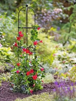 Essex Round Trellises -Outdoor Garden Care Shop 39544 2267 tif