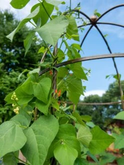 Jardin Tower -Outdoor Garden Care Shop 3 4 crop 8612997 0058