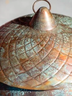 Acorn Hose Pot -Outdoor Garden Care Shop 3 4 crop 8613361 0045