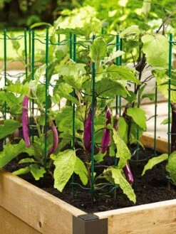 Pepper And Eggplant Stakes, Set Of 3 -Outdoor Garden Care Shop 40308 2116 tif