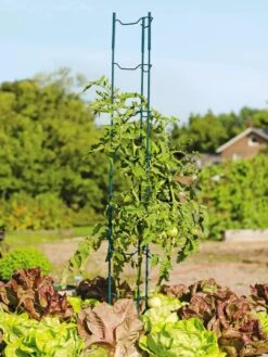 Stacking Tomato Ladders, Set Of 6 -Outdoor Garden Care Shop 40309 100 tif