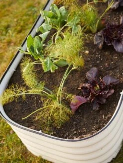 Birdies™ Modular Metal Raised Bed -Outdoor Garden Care Shop 8586930 6019 tif