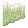 Tall Expandable Pea Trellis -Outdoor Garden Care Shop 8587062 0001 RED tall expandable pea trelis tif