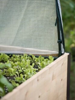 Protection Frame & Covers, 2' X 8' -Outdoor Garden Care Shop 8587631 265 tif