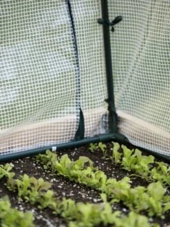 Protection Frame & Covers, 2' X 8' -Outdoor Garden Care Shop 8587631 271 tif