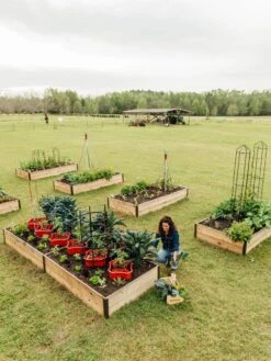 Deep Root Raised Beds, 14" Deep 4' Wide -Outdoor Garden Care Shop 8587813 505 tif