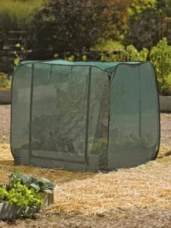 Pest Control Pop-Ups -Outdoor Garden Care Shop 8587859 026 tif