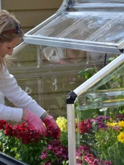 Canopia® By Palram Plant Inn™ Raised Bed Greenhouse, 4' X 4' -Outdoor Garden Care Shop 8588308 04V tif