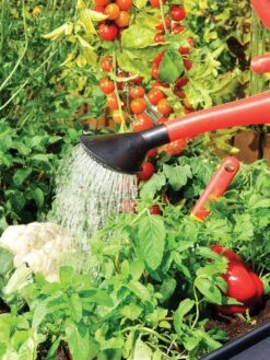 Canopia® By Palram Plant Inn™ Raised Bed Greenhouse, 4' X 4' -Outdoor Garden Care Shop 8588308 06V tif