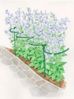 Tidy Path Supports -Outdoor Garden Care Shop 8588403 003 1