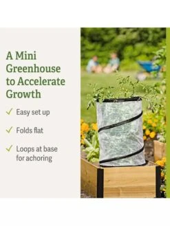 Pop-Up Tomato Accelerator -Outdoor Garden Care Shop 8589749 feature 2