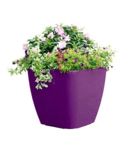 Viva Square Self-Watering Rolling Planter, 17.5" Diameter -Outdoor Garden Care Shop 8589778PR 6126 tif