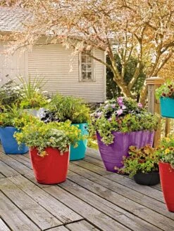 Outdoor Garden Care Shop -Outdoor Garden Care Shop 8589778 8000 tif 1