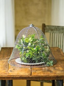 Chicken Wire Cloche -Outdoor Garden Care Shop 8590210 1 tif