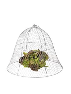 Chicken Wire Cloche -Outdoor Garden Care Shop 8590210 675 tif