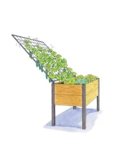Elevated Planter Box And Space-Maker Pivoting Trellis Set, 2' X 4' 9 Elevated Planter Box And Space-Maker Pivoting Trellis Set, 2' X 4' -Outdoor Garden Care Shop 8590247 SMTrellis 4ft tif