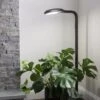 Agrobrite Floor Plant Lamp -Outdoor Garden Care Shop 8592053 0215 tif