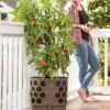 Gardener's Revolution® Tomato Planter -Outdoor Garden Care Shop 8592159 406 001E tif