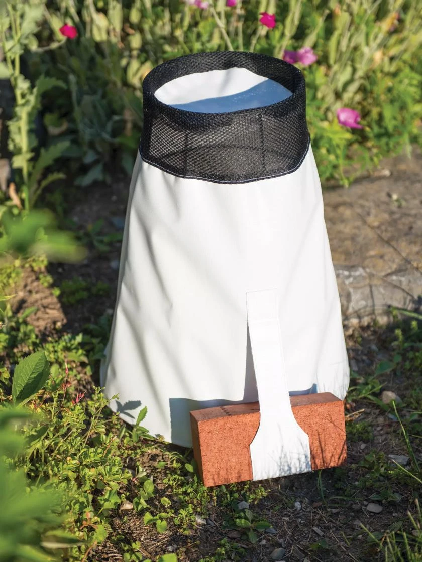 Rosy Cozy® Rose Cone, Large 6 Rosy Cozy® Rose Cone, Large - Image 4