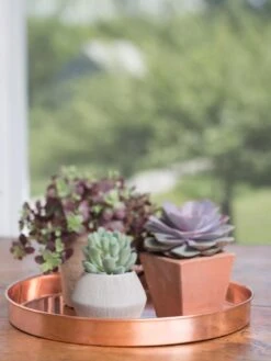 Large Round Copper Plant Tray, 14" -Outdoor Garden Care Shop 8593531 4518 tif