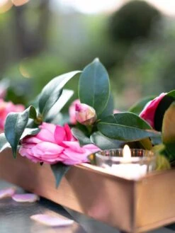 Rectangular Copper Plant Tray, 18"x4" -Outdoor Garden Care Shop 8593532 02IN tif