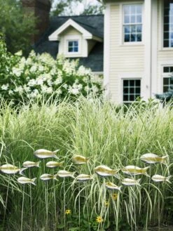 Fish Out Of Water Garden Stakes, Set Of 5 -Outdoor Garden Care Shop 8593672 9124 tif