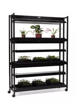 High Intensity 3-Tier SunLite® Garden -Outdoor Garden Care Shop 8593944 1608 tif