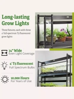 High Intensity 3-Tier SunLite® Garden -Outdoor Garden Care Shop 8593944 6