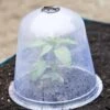 Large Garden Cloches, Set Of 3