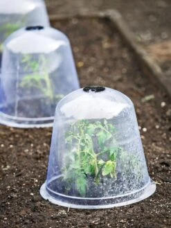 Large Garden Cloches, Set Of 3 -Outdoor Garden Care Shop 8593984 9432 tif