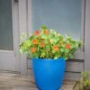 Viva Round Self-Watering Rolling Planter, 17.25” Diameter -Outdoor Garden Care Shop 8594077 0087 tif