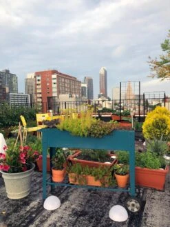 Demeter Mobile Planter Cart -Outdoor Garden Care Shop 8594148 01CUST tif