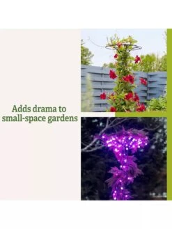 Essex Tuteur, 63" -Outdoor Garden Care Shop 8594162 3