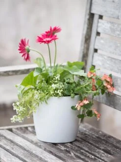 Viva Round Self-Watering Planter, 7" Diameter -Outdoor Garden Care Shop 8595222 1139 tif