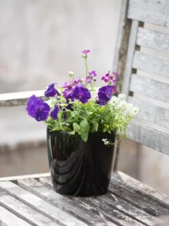 Viva Round Self-Watering Planter, 7" Diameter -Outdoor Garden Care Shop 8595222 1140 tif