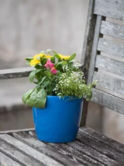 Viva Round Self-Watering Planter, 7" Diameter -Outdoor Garden Care Shop 8595222 1143 tif