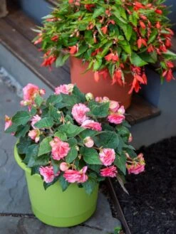 Eezy Gro Self-Watering Planters 11 Eezy Gro Self-Watering Planters -Outdoor Garden Care Shop 8596427 0034 tif