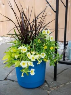 Outdoor Garden Care Shop -Outdoor Garden Care Shop 8596427 0035 tif