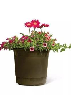 Eezy Gro Self-Watering Planters 12 Eezy Gro Self-Watering Planters -Outdoor Garden Care Shop 8596427 108 tif