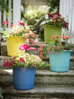 Eezy Gro Self-Watering Planters 13 Eezy Gro Self-Watering Planters -Outdoor Garden Care Shop 8596427 8090 tif