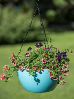 Viva Self-Watering Hanging Basket, 14" Diameter 10 Viva Self-Watering Hanging Basket, 14" Diameter -Outdoor Garden Care Shop 8596442 0859 tif