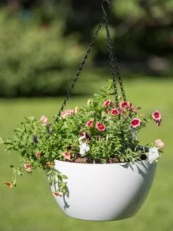 Viva Self-Watering Hanging Basket, 14" Diameter 9 Viva Self-Watering Hanging Basket, 14" Diameter -Outdoor Garden Care Shop 8596442 0864 tif
