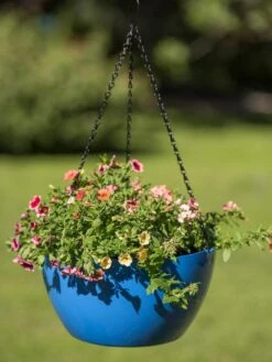 Viva Self-Watering Hanging Basket, 14" Diameter 11 Viva Self-Watering Hanging Basket, 14" Diameter -Outdoor Garden Care Shop 8596442 0876 tif