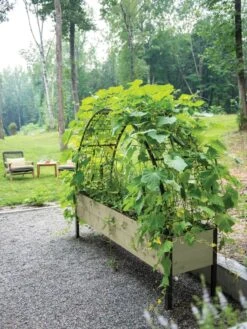 Self-Watering Elevated Planter Box, 2' X 8' -Outdoor Garden Care Shop 8596760 0046 tif